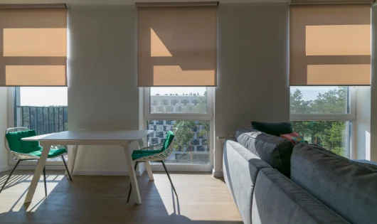 A living room with beige roller shades