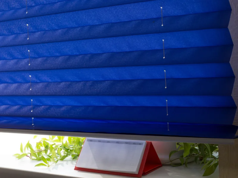 Blue pleated shades.