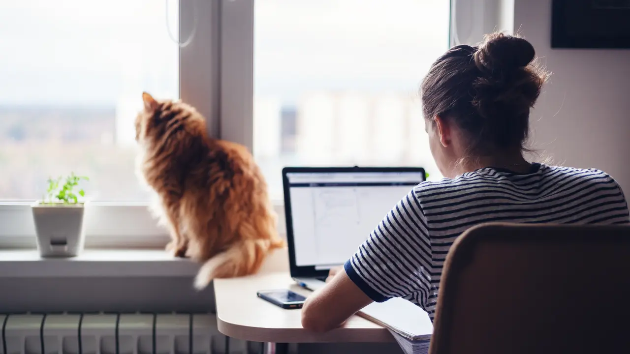 A woman sitting at a desk with a cat looking out the window