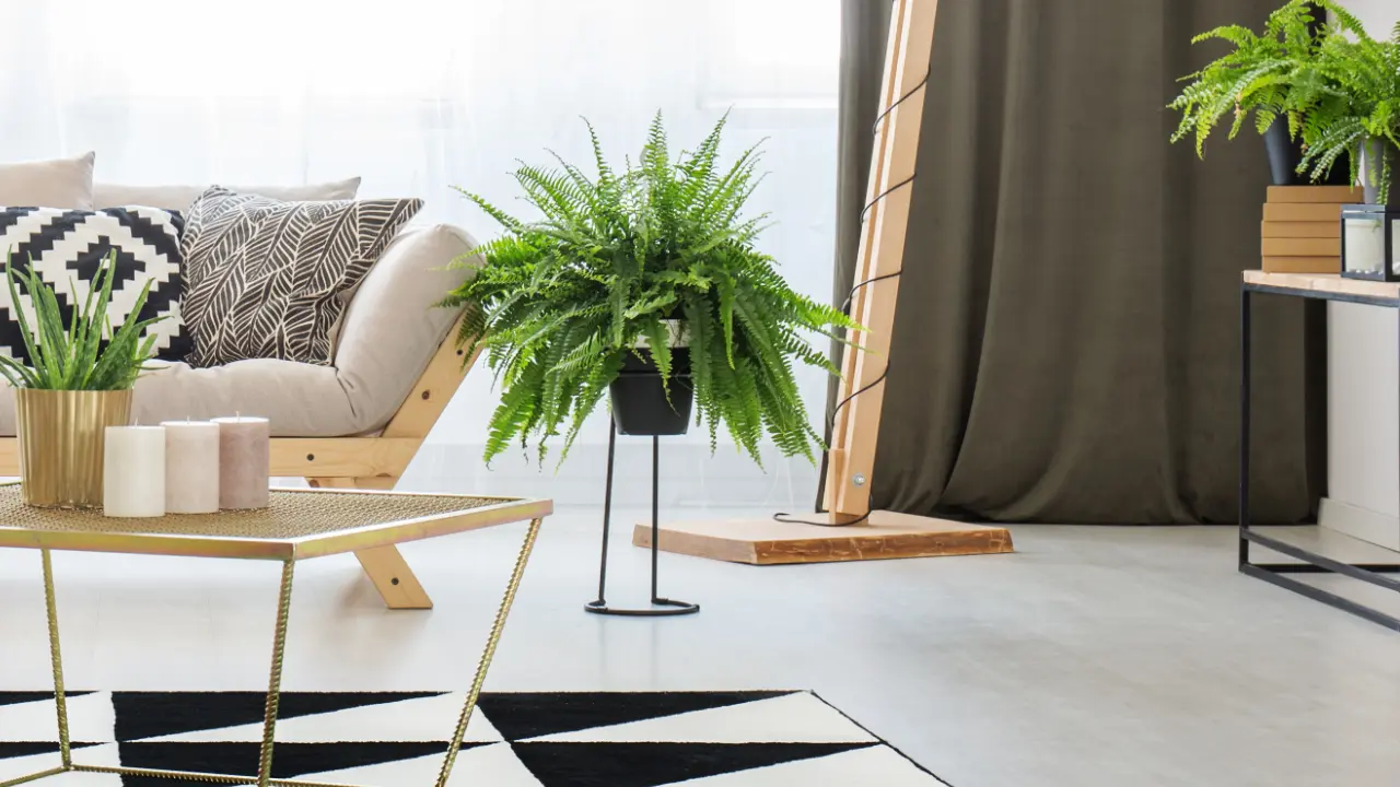 A living room with plants and a vintage drape in the background