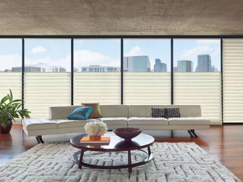 Top-down bottom-up shades in a modern living room