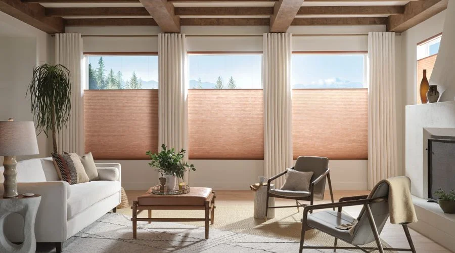 Modern living room with top-down shades