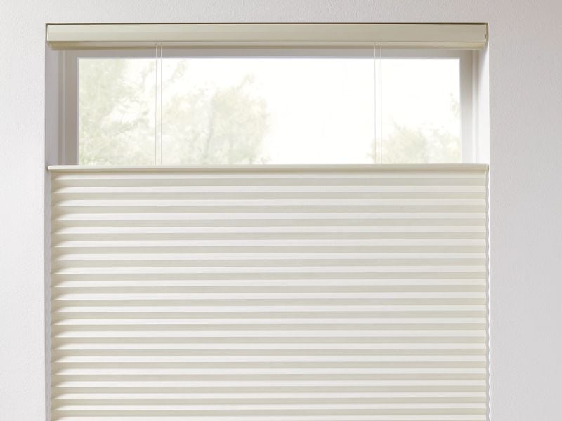 Blackout shades in a reading area.